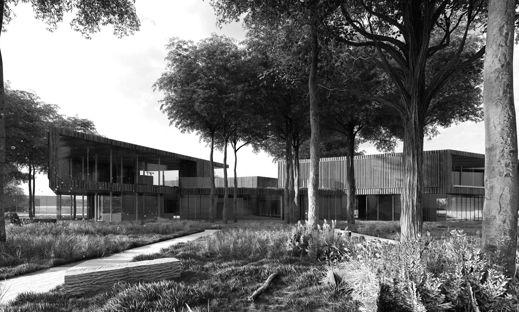 Portfolio: Architektura