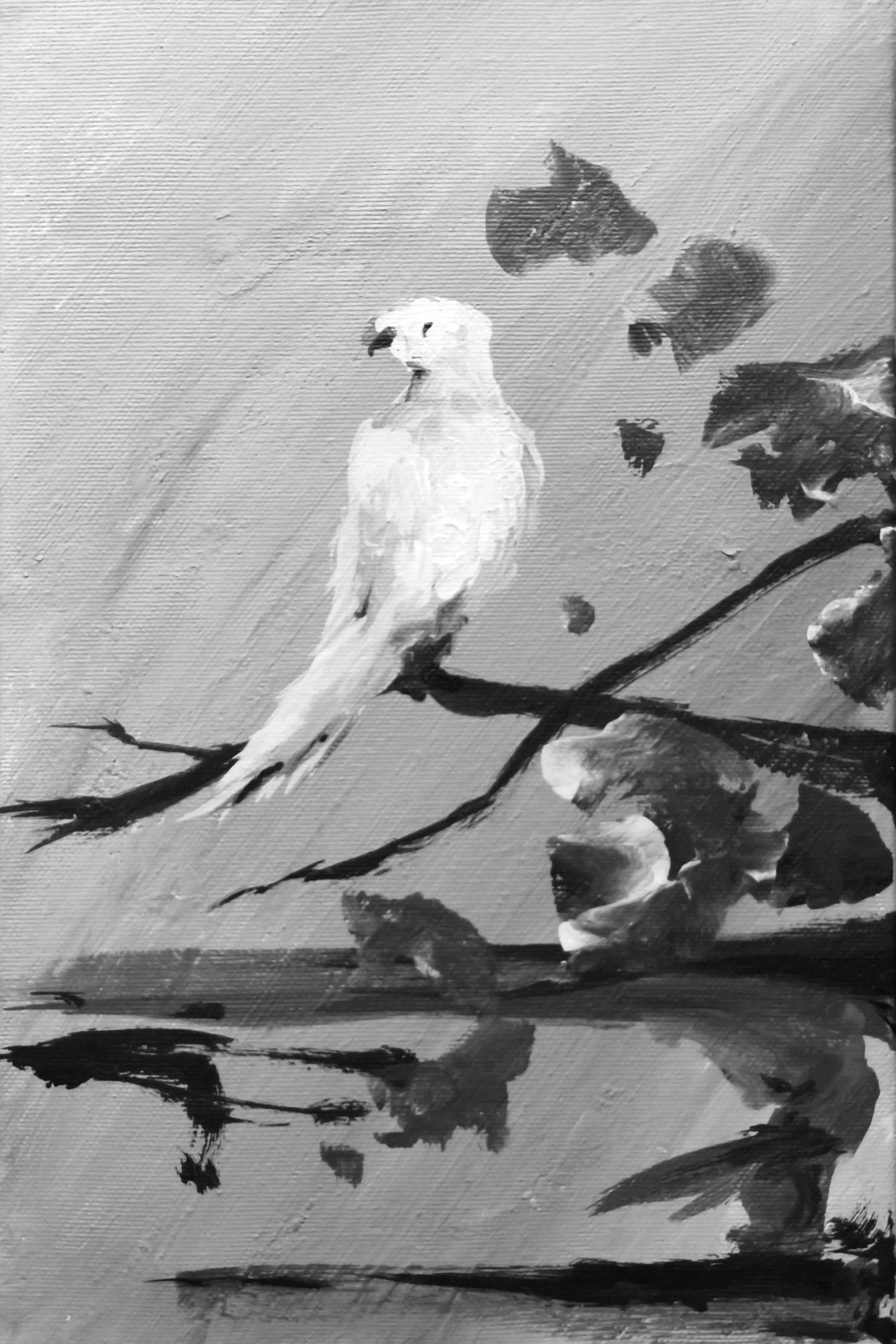 Portfolio: Ilustracja